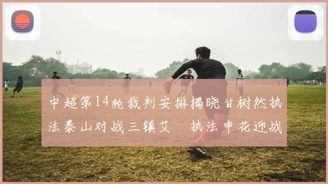 中超第14轮裁判安排揭晓甘树然执法泰山对战三镇艾堃执法申花迎战新鹏城