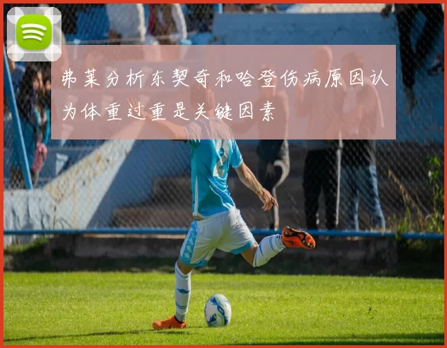 弗莱分析东契奇和哈登伤病原因认为体重过重是关键因素